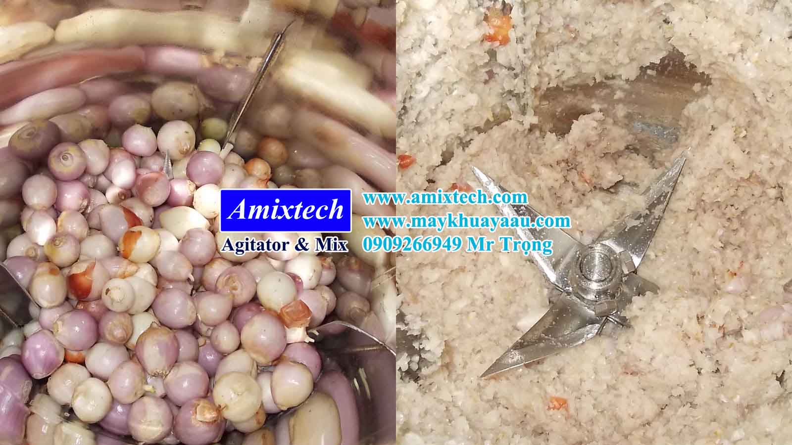 máy xay xã, tỏi ớt